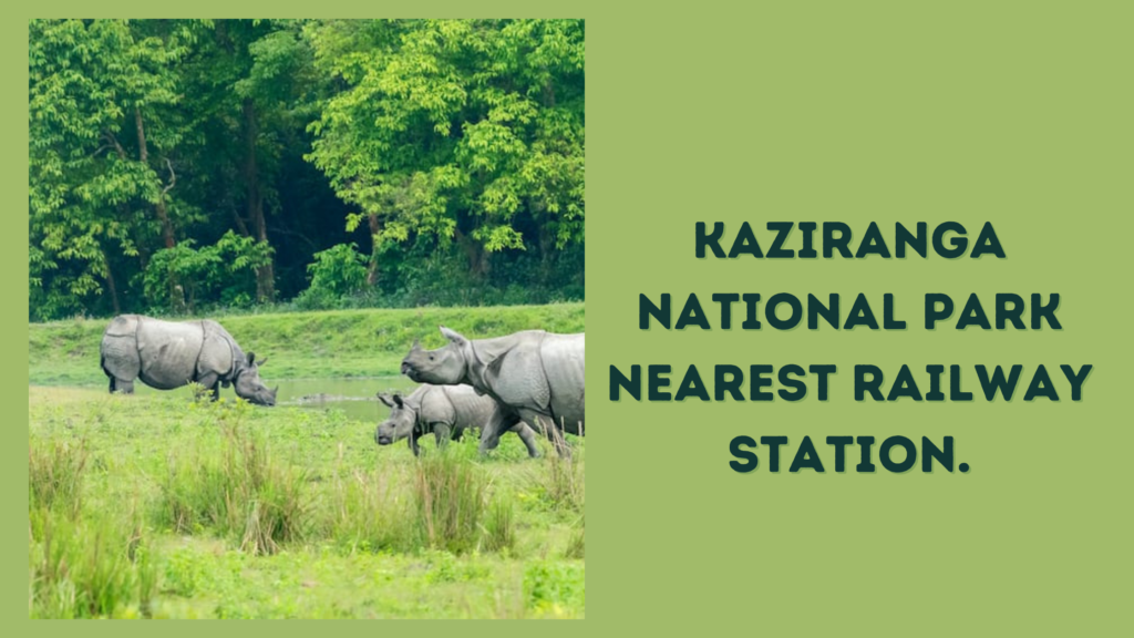 Distance From Guwahati Airport To Kaziranga National Park travelatweb.com