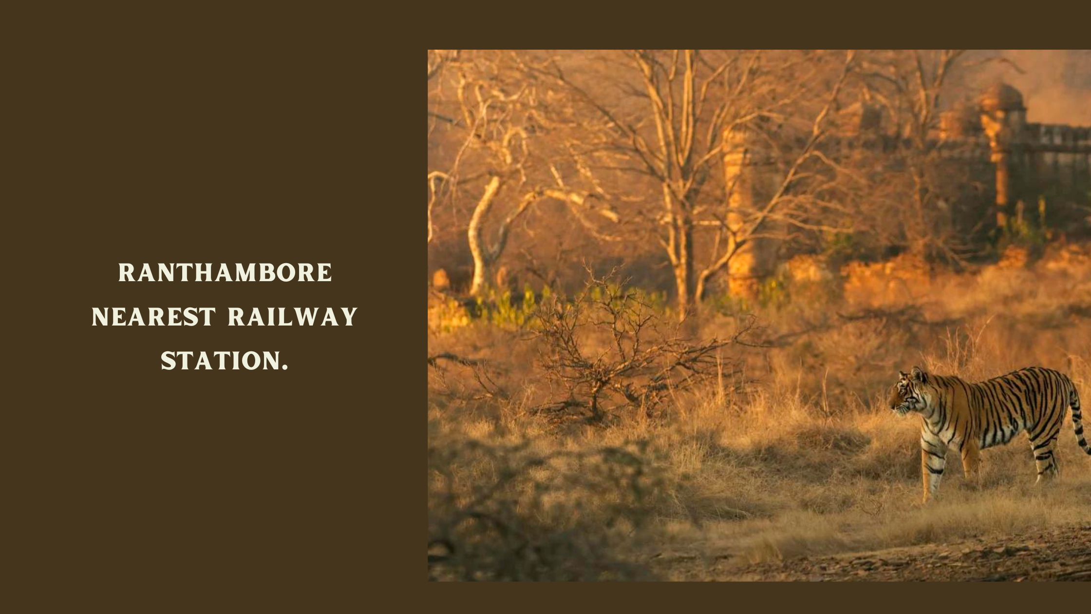 Ranthambore Nearest Railway Station