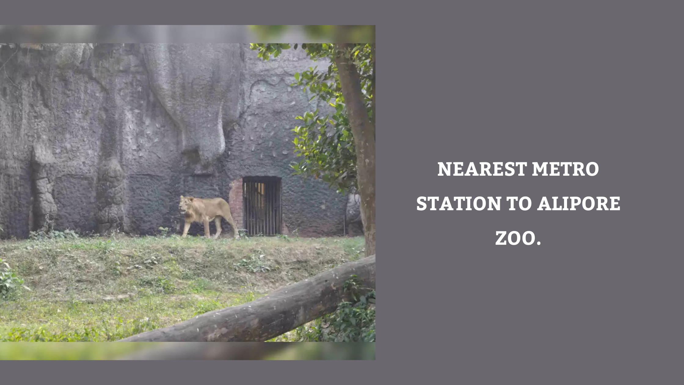 Nearest Metro Station to Alipore Zoo