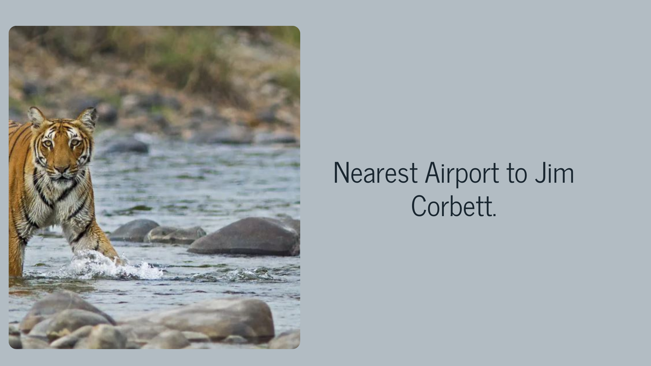 Nearest Airport to Jim Corbett