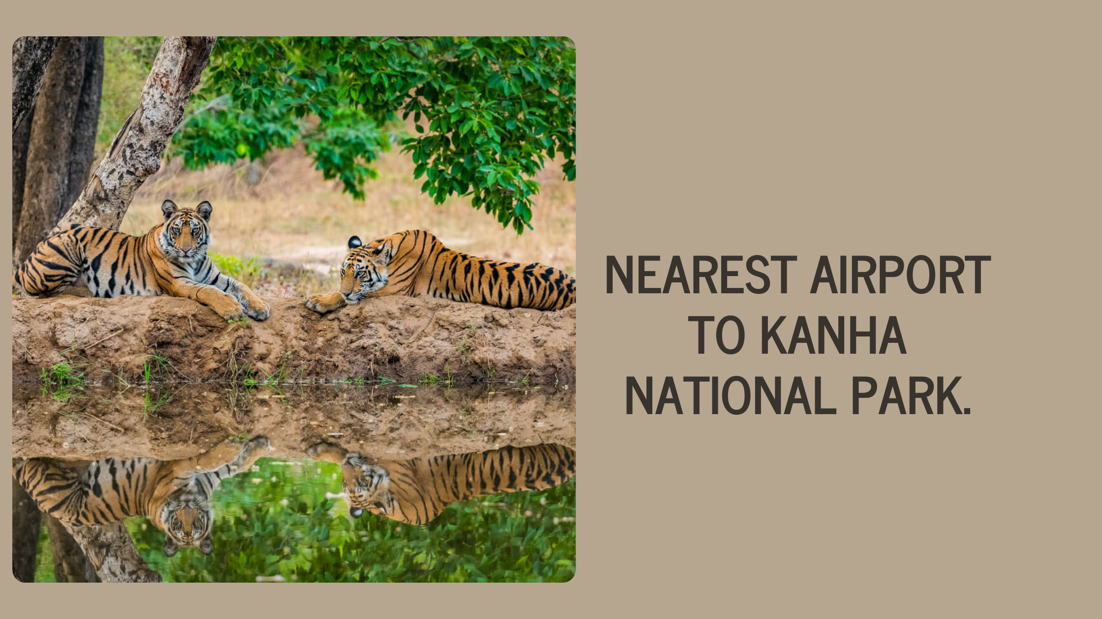 Nearest Airport to Kanha National Park